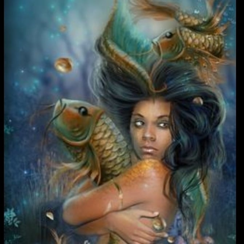 Meet your Posher, Yumi